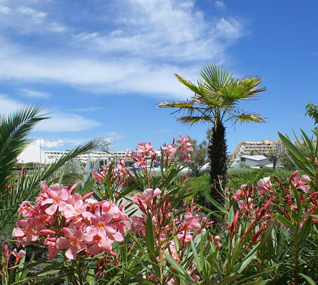 Séjour - appartements ou studios résidence Port Soleil : location naturiste au Cap d'Agde